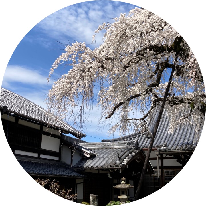 現役大学生が一人暮らしのリアルなCoe(声)をお届けします!
